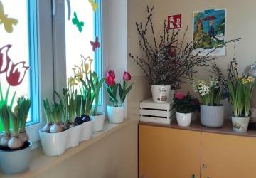 🌷Kwietne zakątki – Projekt edukacyjny w grupie Średniaki🪻