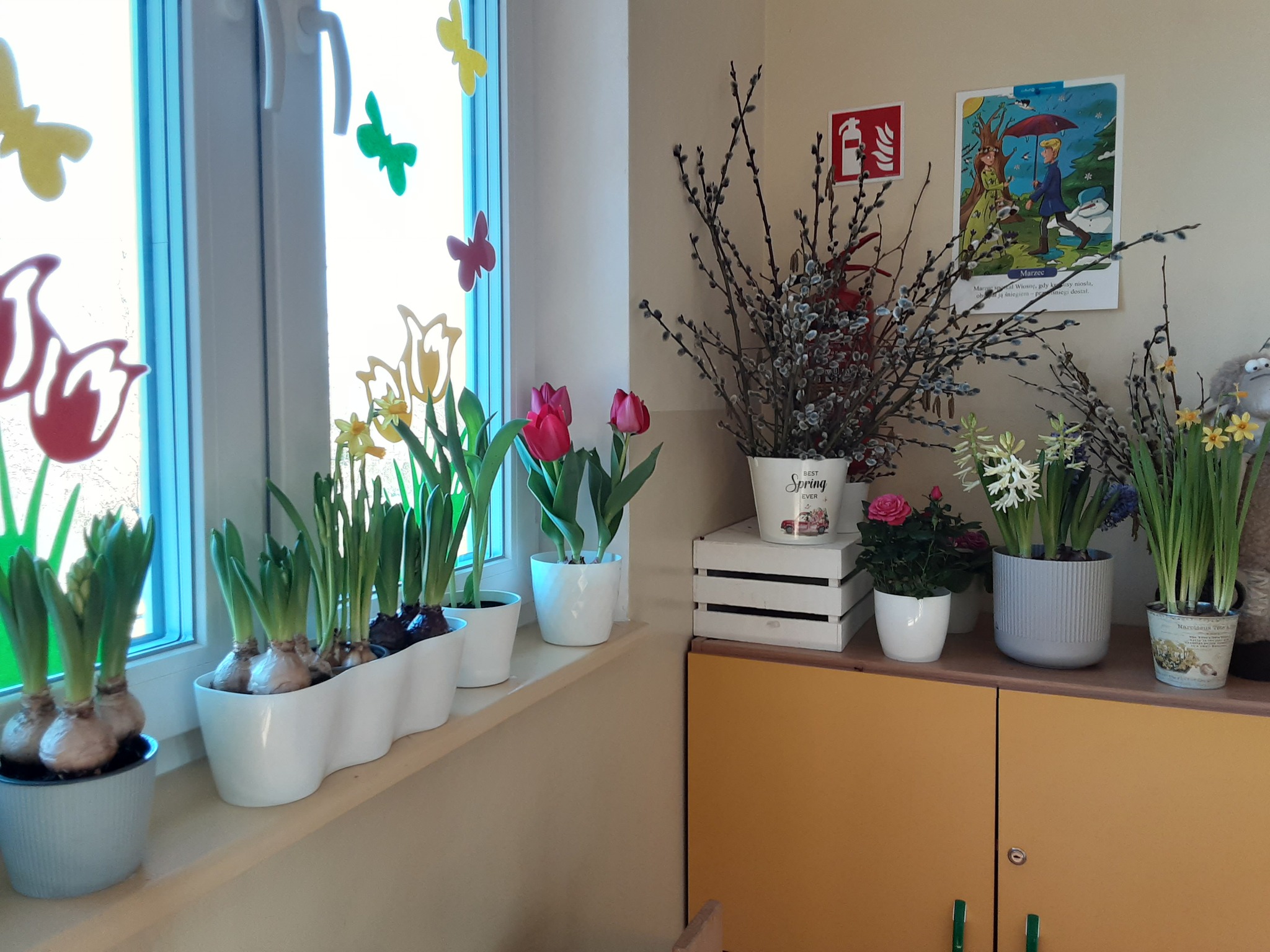 🌷Kwietne zakątki – Projekt edukacyjny w grupie Średniaki🪻